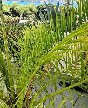 Vue Imprenable Et Piscine Lägenhet
