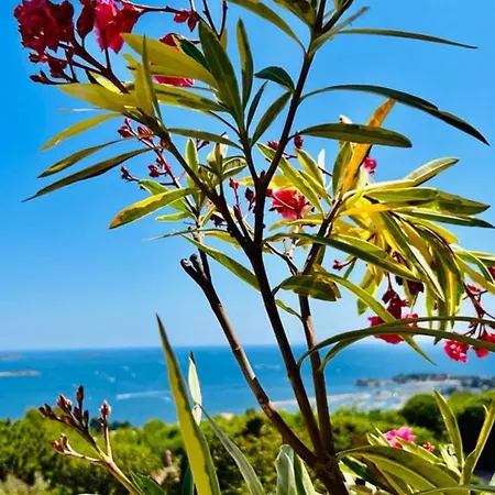 Lägenhet Vue Imprenable Et Piscine Bandol
