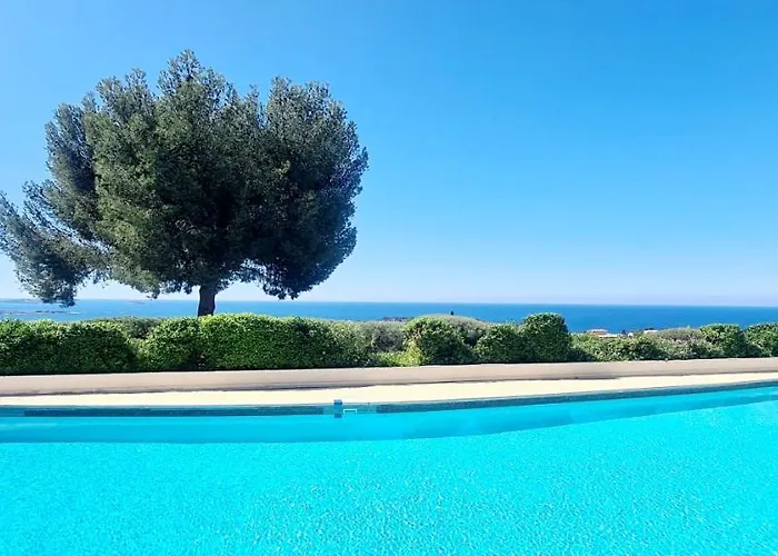 Vue Imprenable Et Piscine Bandol