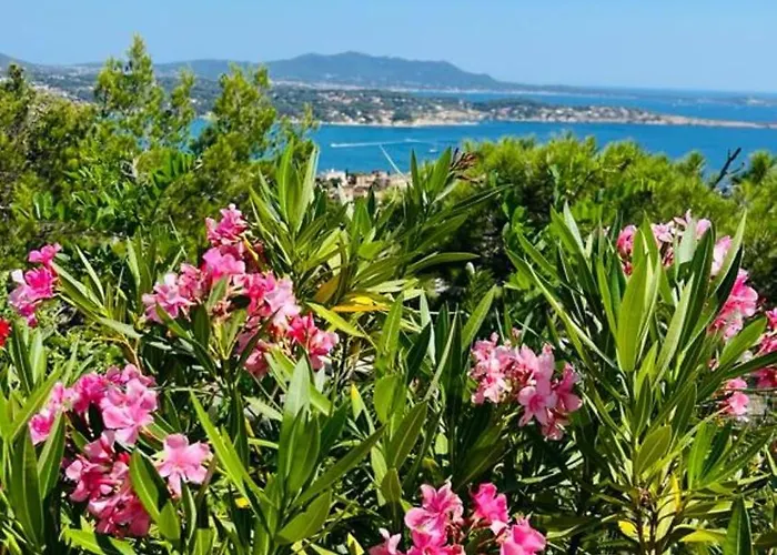 Vue Imprenable Et Piscine Appartement