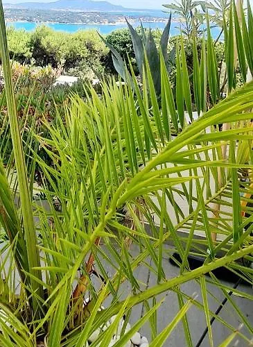 Vue Imprenable Et Piscine Lägenhet